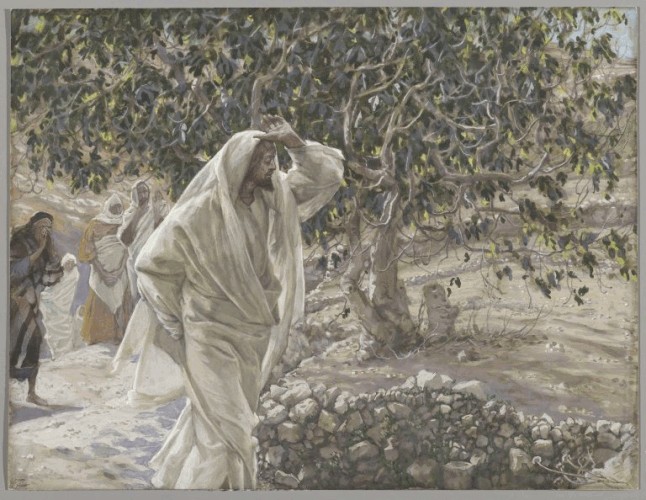 The Cursed Fig Tree, Tissot