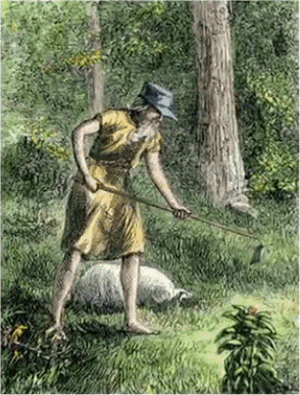 John Chapman (Johnny Appleseed)<BR>